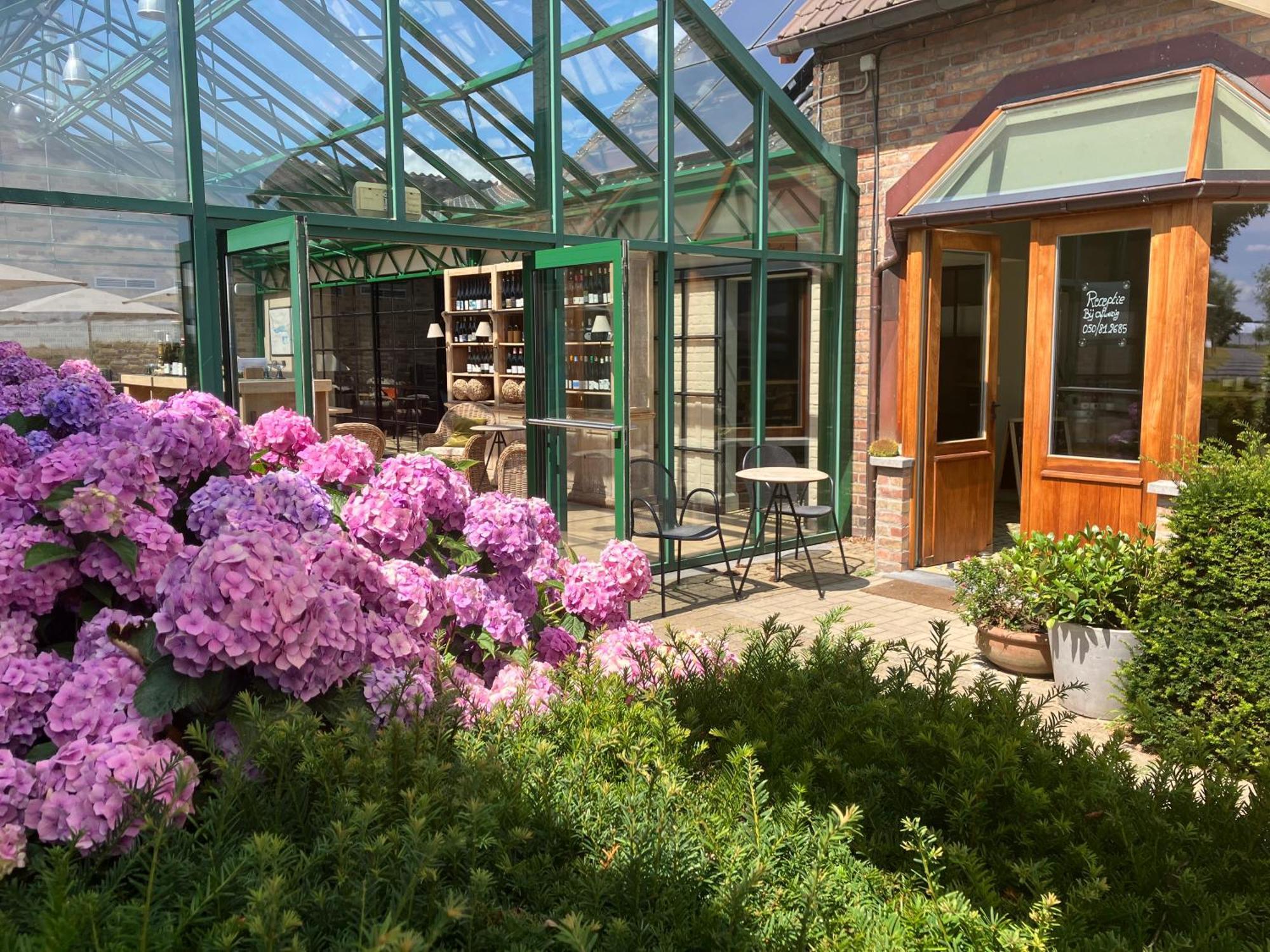 Tannine Et Cuisine Villa Jabbeke  Kültér fotó
