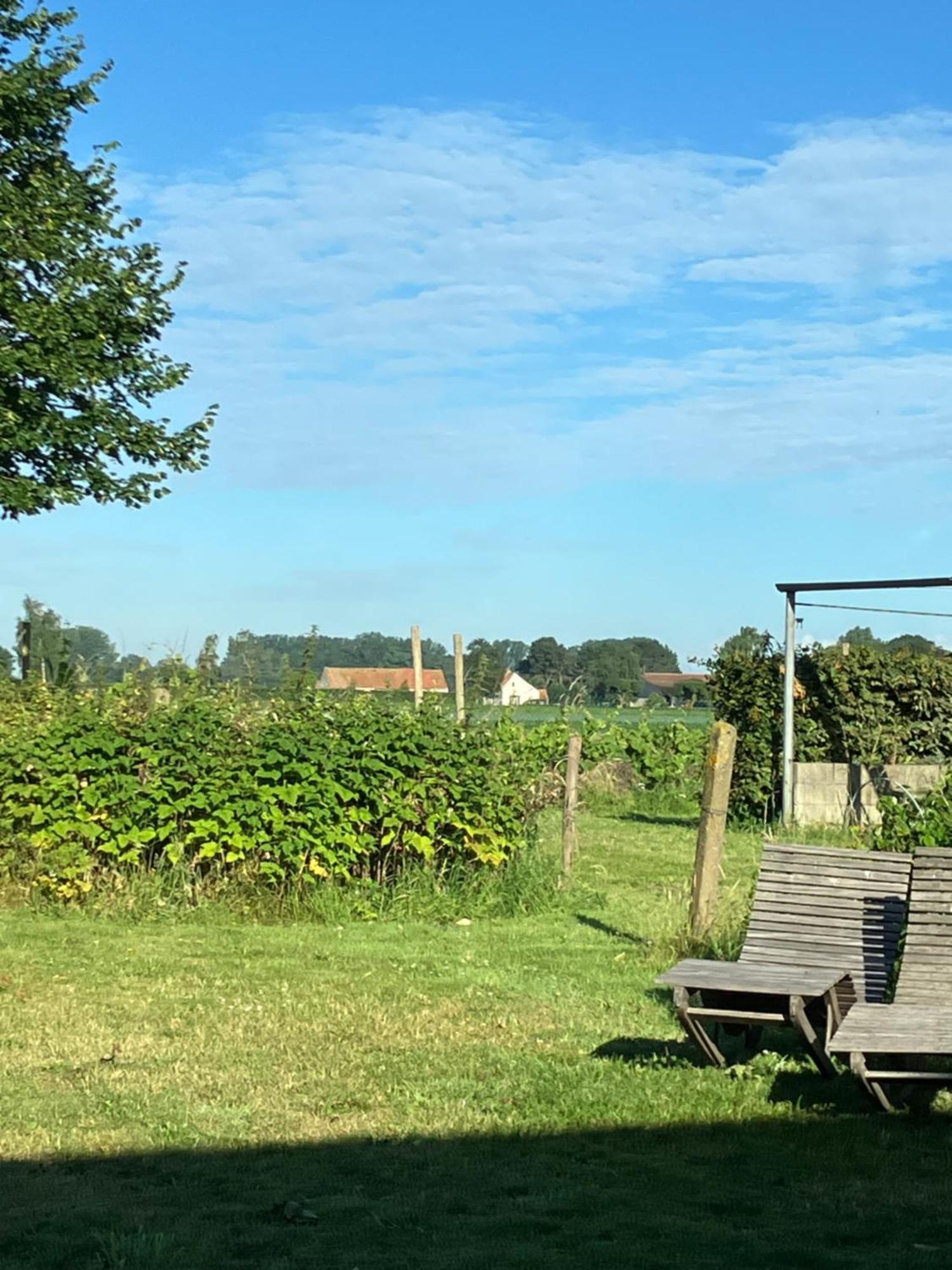 Tannine Et Cuisine Villa Jabbeke  Kültér fotó