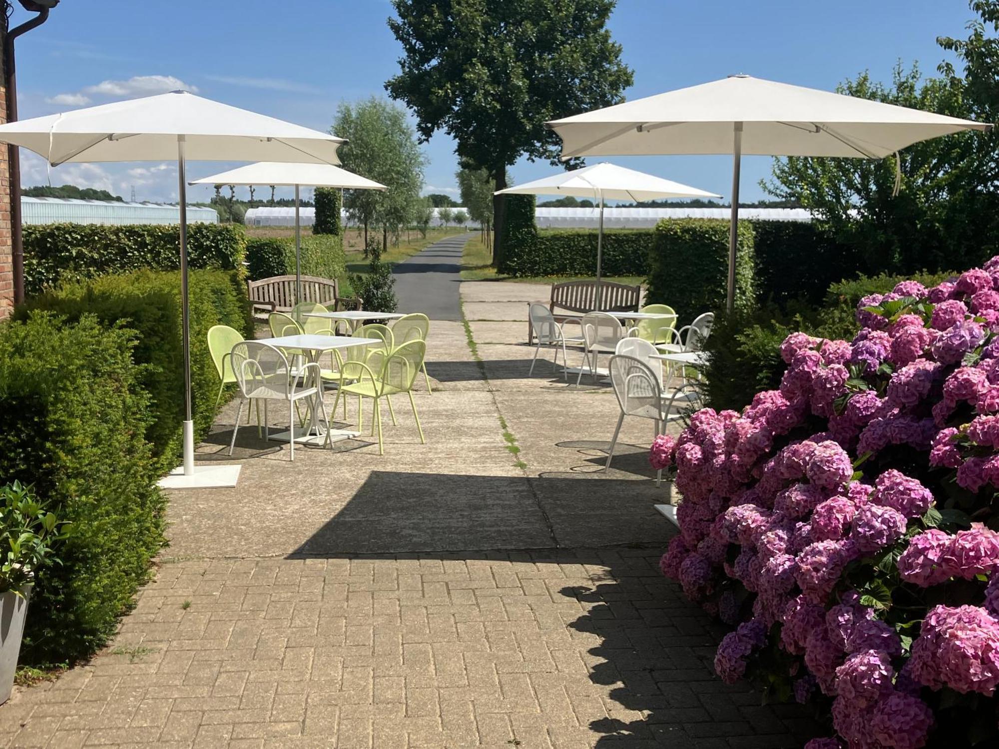 Tannine Et Cuisine Villa Jabbeke  Kültér fotó