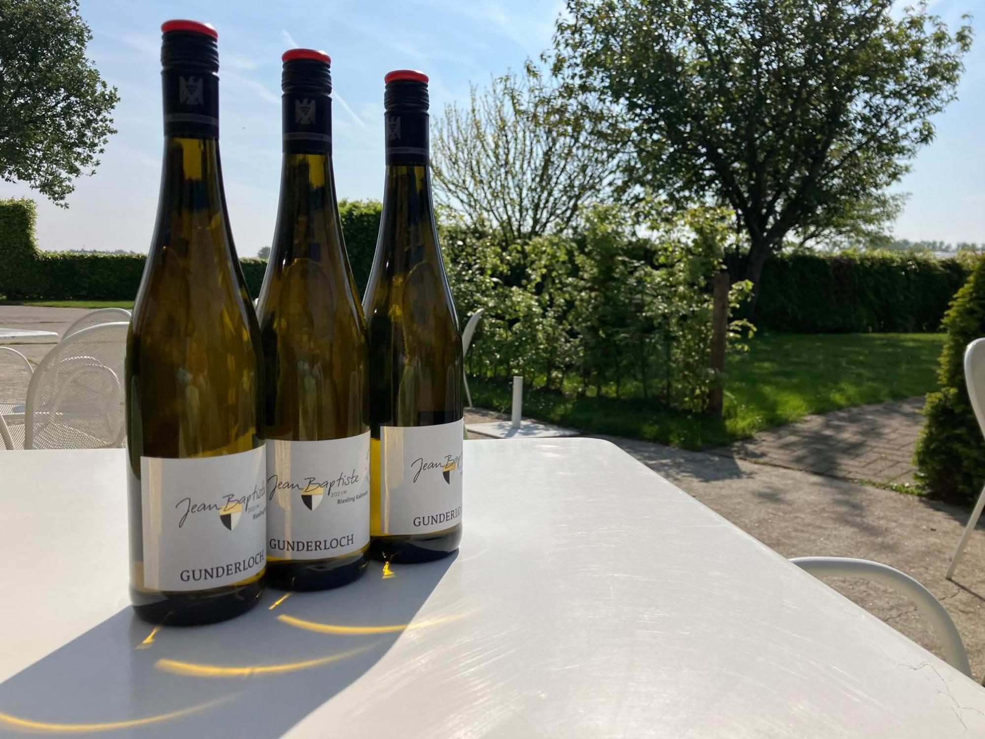Tannine Et Cuisine Villa Jabbeke  Kültér fotó